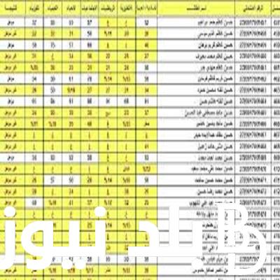 رابط منصة نجاح للاستعلام عن نتائج السادس الاعدادي الدور الأول 2024 بالباركود