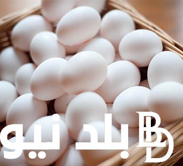 “ابيض واحمر” اسعار البيض اليوم الثلاثاء 23-7-2024 في المحلات واراضي المزارع للمستهلك والتاجر