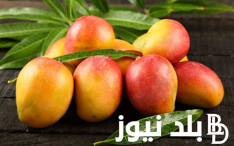 “كما هي” انخفاض أسعار المانجو اليوم الأربعاء 10 يوليو 2024 في سوق العبور للتجار والمستهلكين