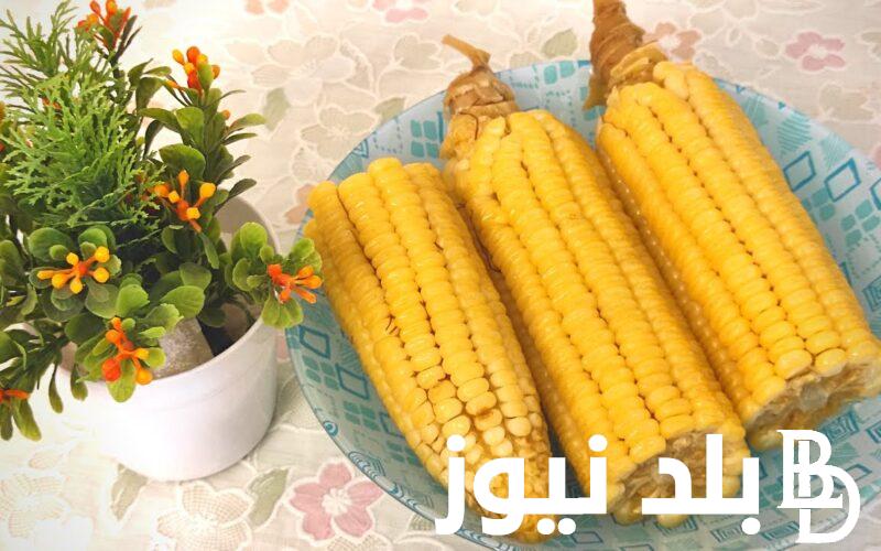 “الطن وصل كام” سعر طن الذرة الصفراء اليوم الثلاثاء 30 يوليو 2024 في الاسواق والشركات