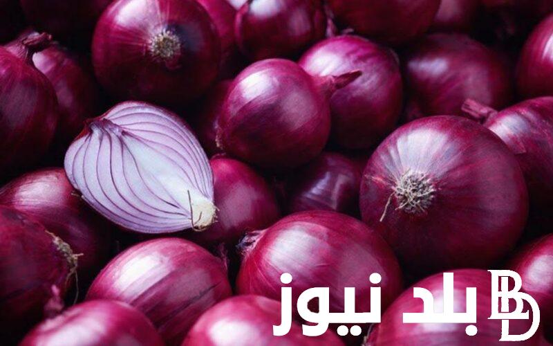 استقرار اسعار البصل اليوم الاربعاء 3 يوليو 2024 في سوق العبور لتجارة الجمله للتجار والمستهلكين