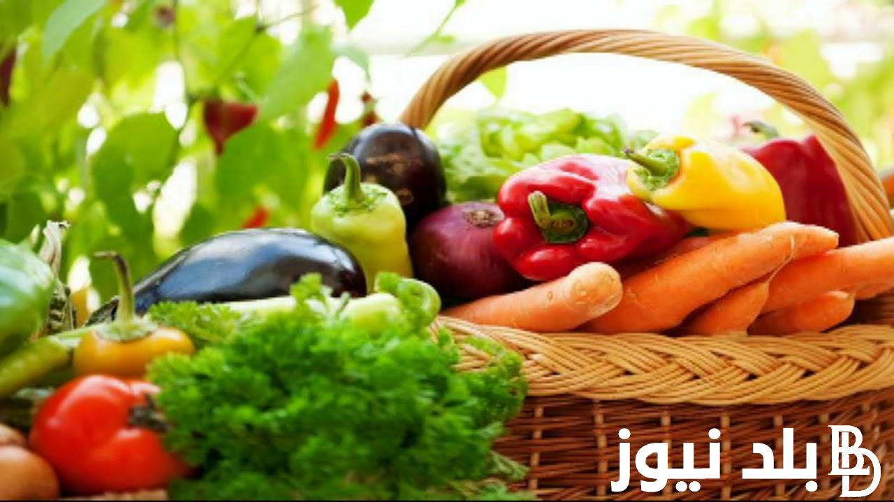“اشتري خضارك” أسعار الخضروات في سوق العبور اليوم الأحد 28 يوليو 2024 وبمحلات التجارية للمستهلك
