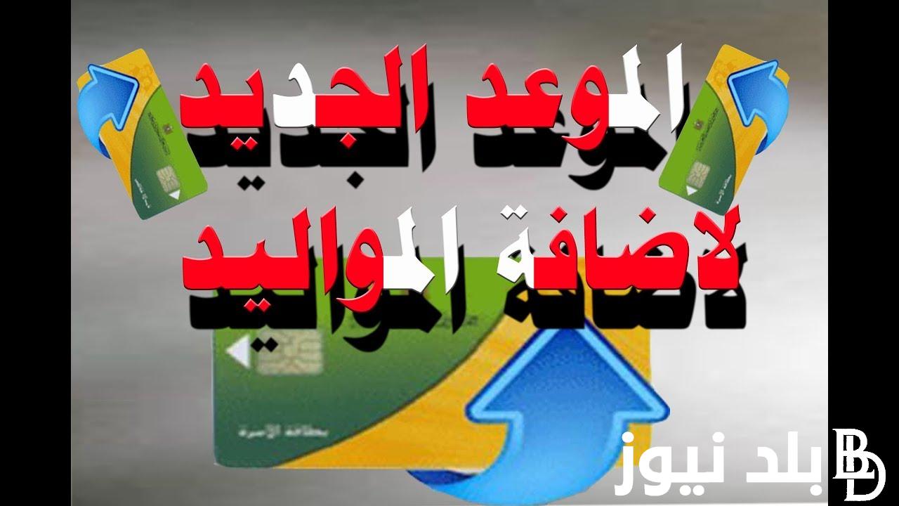 موقع بوابة مصر الرقمية لإضافة المواليد الجدد على بطاقات التموين.. الطريقة والأوراق المطلوبة وفقاً لوزارة التموين