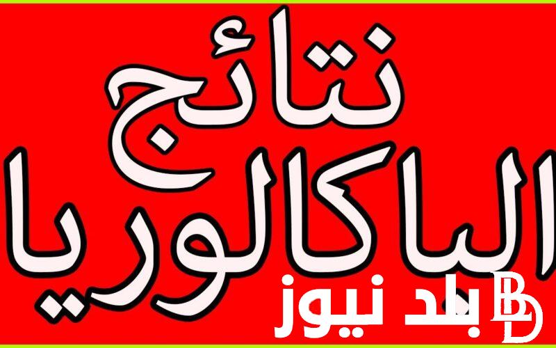 استعلام نتائج البكالوريا الجزائر 2024 عبر منصة الديوان الوطني للامتحانات والمسابقات