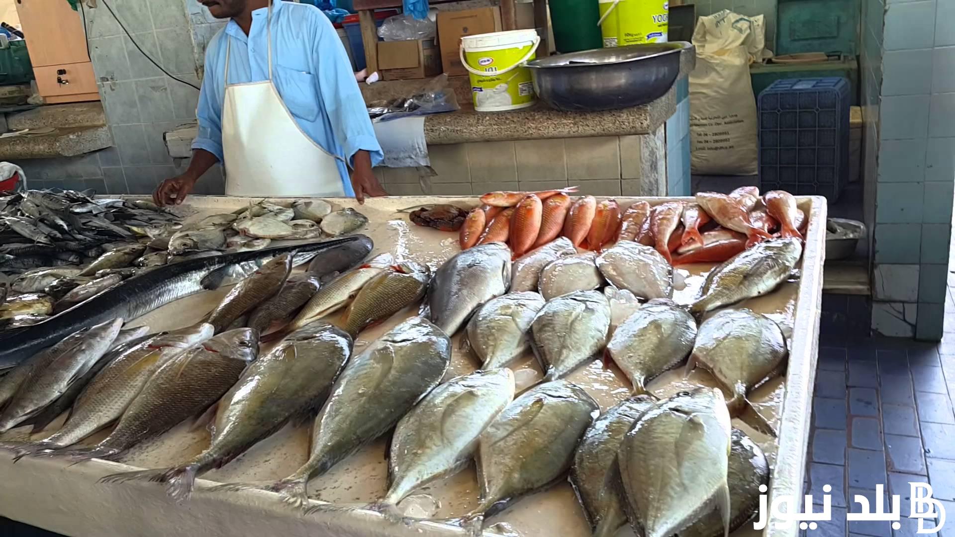 اسعار السمك اليوم الاحد بتاريخ 21 يوليو 2024 في سوق العبور والسوق المحلي