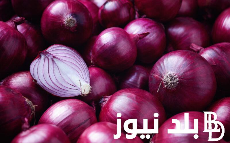 “احمر وصعيدى” اسعار البصل اليوم الاربعاء الموافق 31 يوليو 2024 للمستهلك وتجار التجزئة في سوق العبور