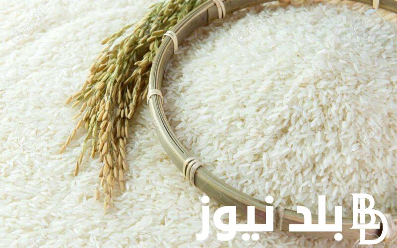 “موسم الحصاد” سعر طن الأرز الشعير اليوم في الاسواق والمضارب ومتي موسم زراعة الارز