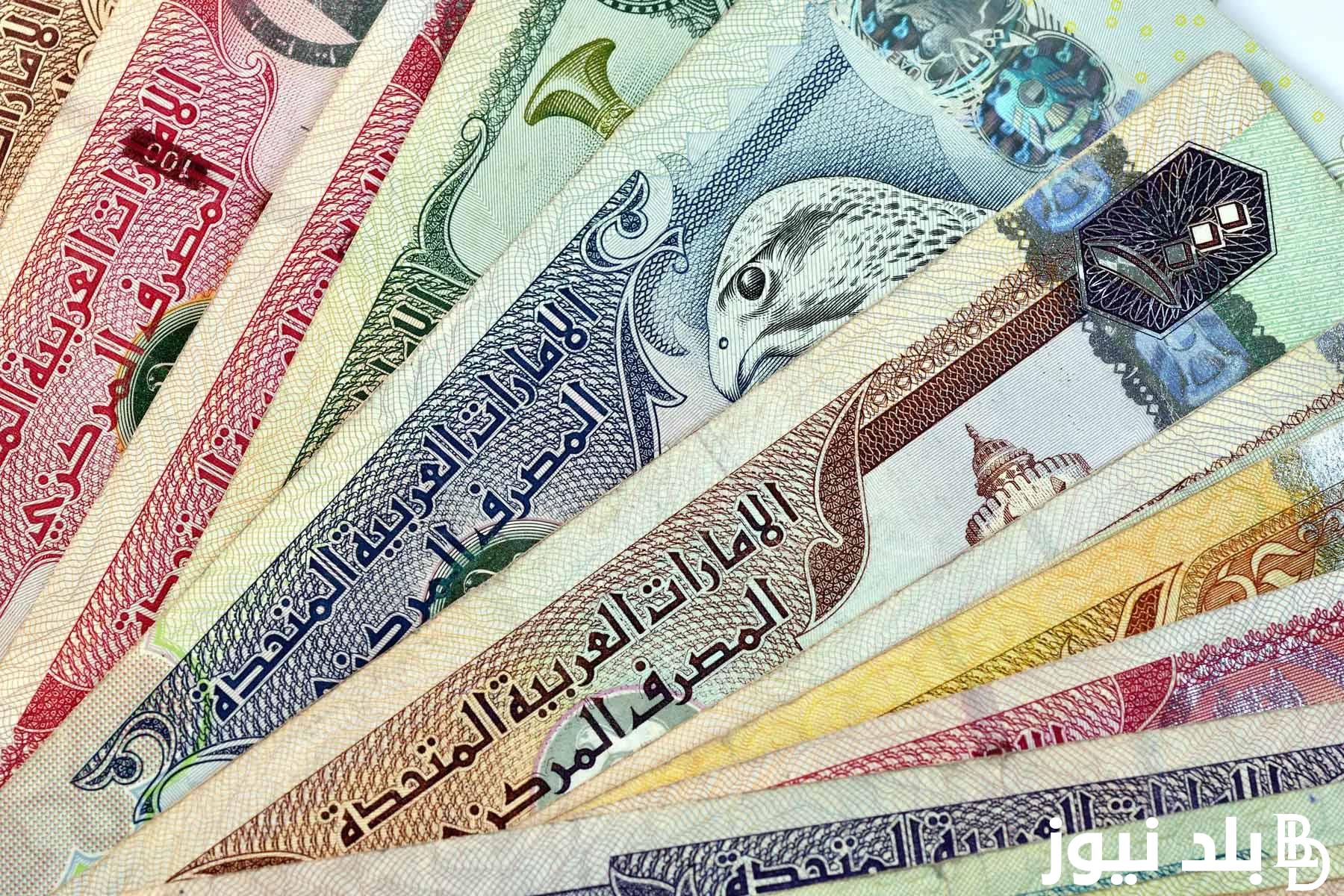 “ارتفاع الإماراتي”.. درهم إماراتي كم جنيه مصري اليوم السبت 20-7-2024 في السوق السوداء والبنوك