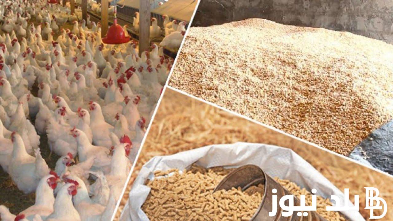 سعر العلف اليوم السبت الموافق 20 يوليو 2024 للمستهلك في الأسواق المصرية