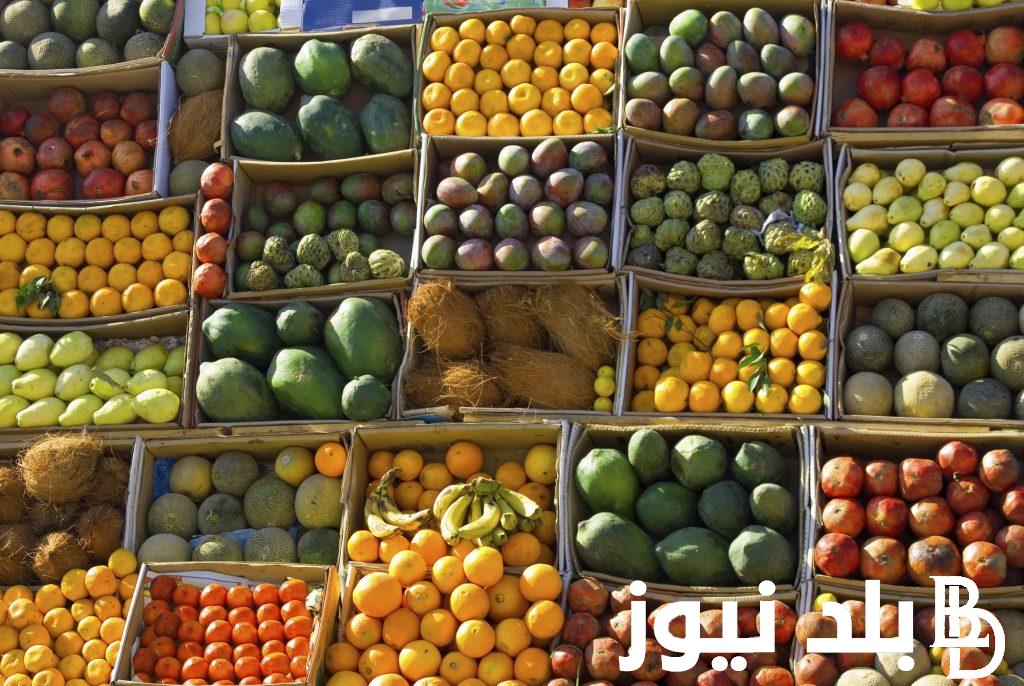 أسعار الفاكهة اليوم في سوق العبور السبت 20 يوليو 2024 بمصر.. كيلو الموز بكام؟