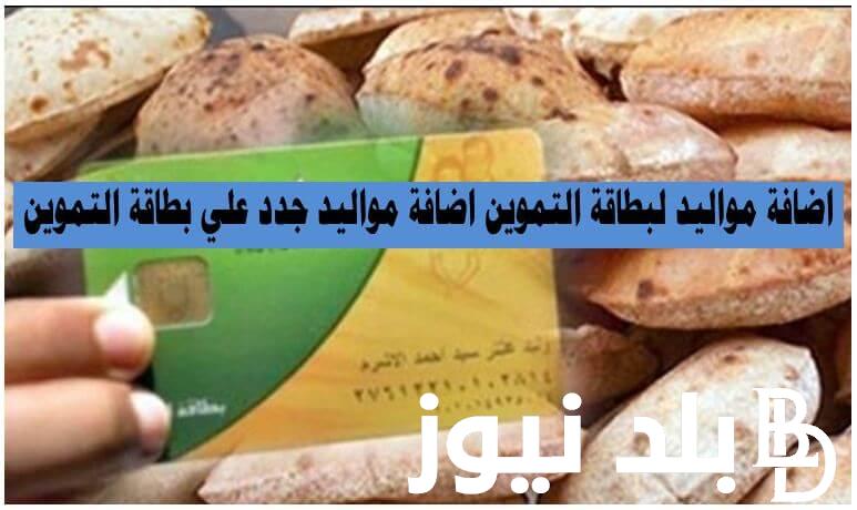 اضافة مواليد وزارة التموين 2024 عبر رابط بوابة مصر الرقمية digital.gov.eg
