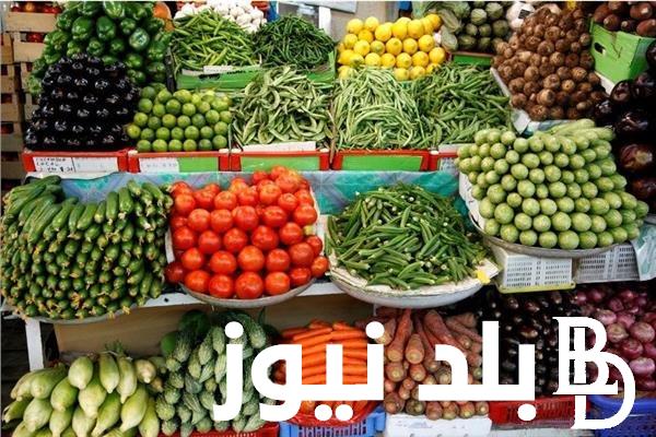“القلقاس بـ20 جنيه” اسعار الخضار اليوم الجمعة 26 فبراير 2024 واسعار الفاكهه اليوم في سوق العبور