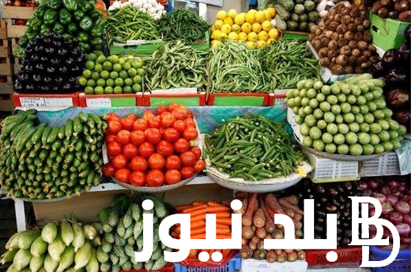 البنجر بــ5 جنيه.. اسعار الخضار اليوم الإثنين 29 يوليو 2024 واسعار الفواكه للمواطنين في الأسواق