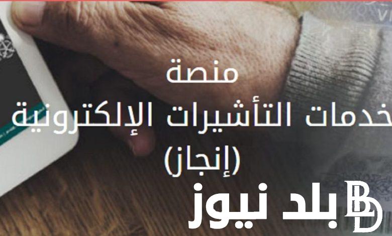 فعّال.. لينك الاستعلام عن تأشيرة السعودية برقم الجواز 2024 عبر موقع التأشيرات الالكترونية