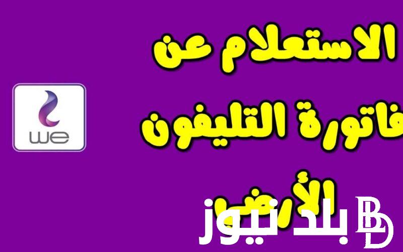 من هُنا.. الاستعلام فاتورة التليفون الأرضي 2024 الكترونيًا عبر موقع المصرية للاتصالات billing.te.eg