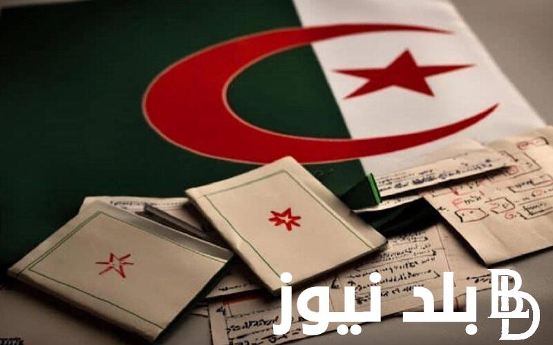 اعرف نتائج المراسلة 2024 موقع onefd edu dz resultat وموقع وزارة التربية والتعليم الجزائرية