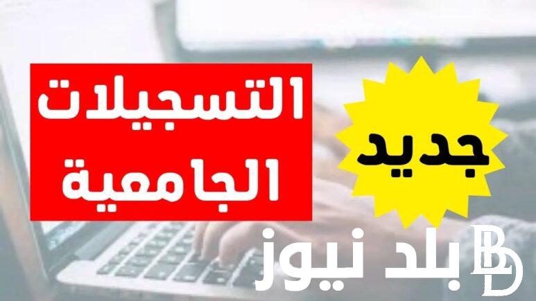 وزارة التعليم توضح.. موقع التسجيلات الجامعية 2024/2025 لجميع حاملي البكالوريا ومراحل التسجيلات