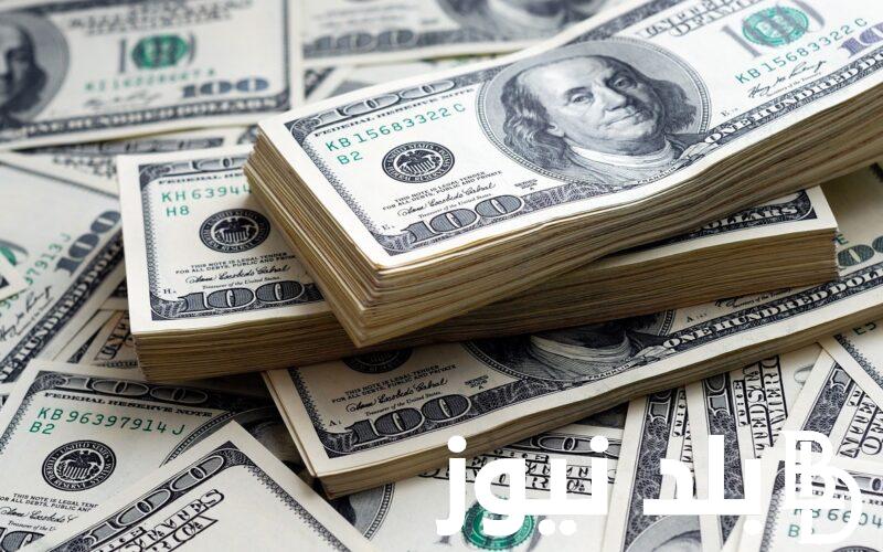 “ملك العملات بكام النهاردة؟” سعر الدولار اليوم في مصر تحديث يومي الخميس 11 يوليو 2024 في السوق السوداء والبنوك المصرية