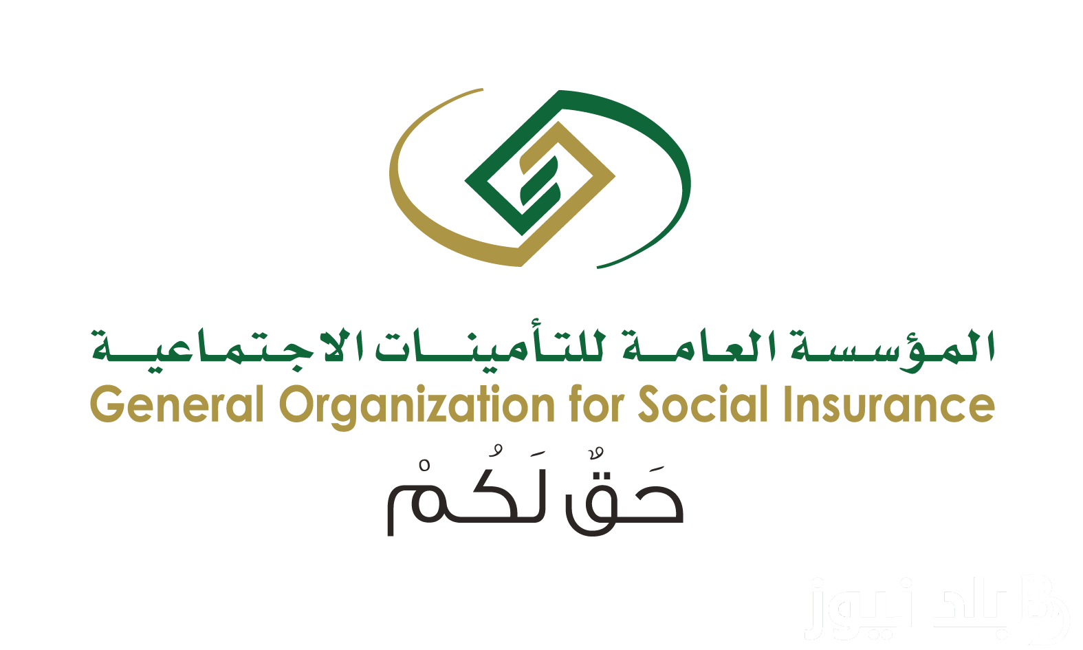 قيمة راتب الضمان الاجتماعي المطور استعلام برقم الهوية شهر اغسطس 2024 وهل يوجد زيادة أم لا؟