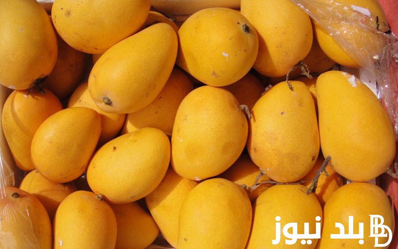 العويسي بكام؟.. اسعار المانجو اليوم الاحد بتاريخ 28 يوليو 2024 للمستهلكين والتجار في الاسواق المحلية