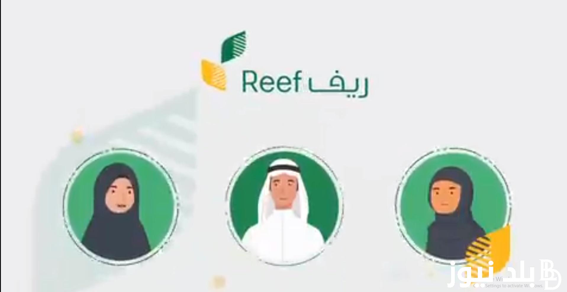 رابط استعلام عن دعم ريف عن طريق النفاذ الوطني 1446 برقم الهوية عبر www.iam.gov.sa