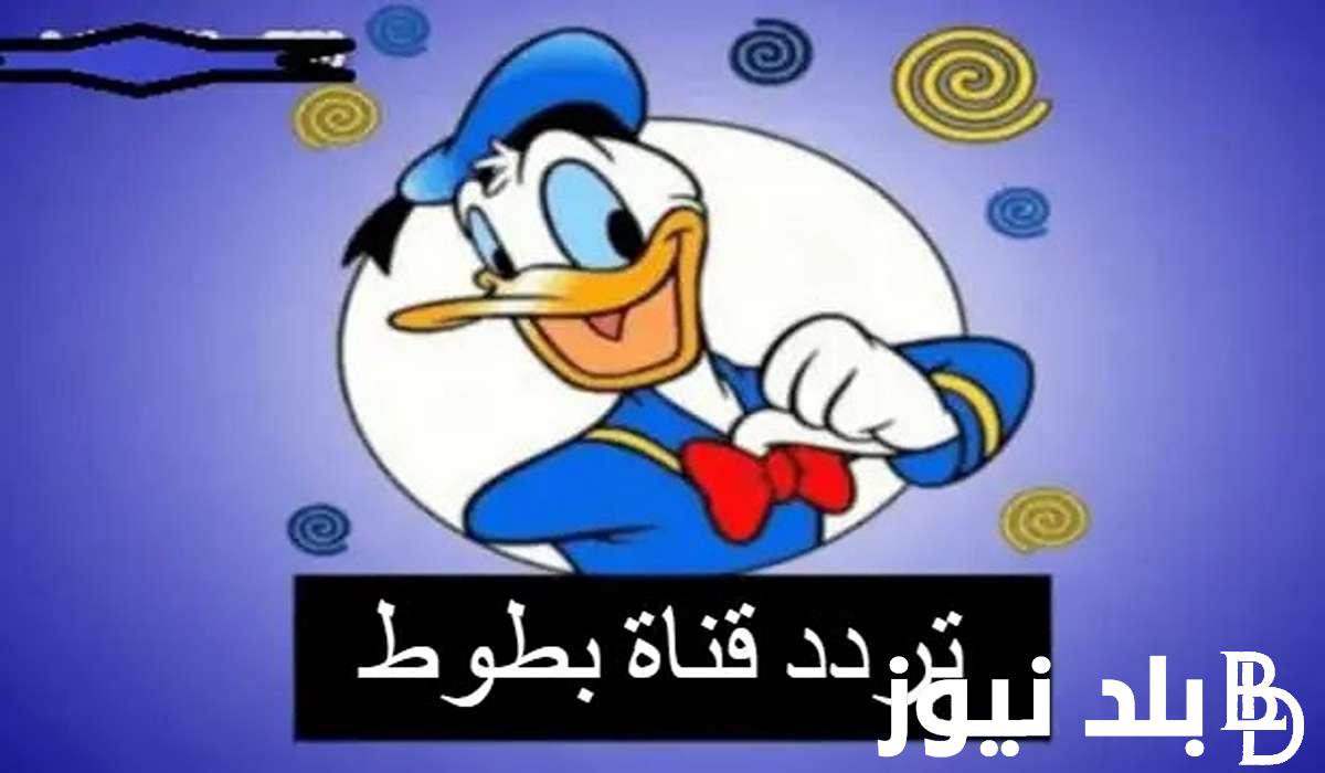 تردد قناة بطوط الجديد 2024 على النايل سات والعرب سات لمتابعة افلام الاطفال الجديدة