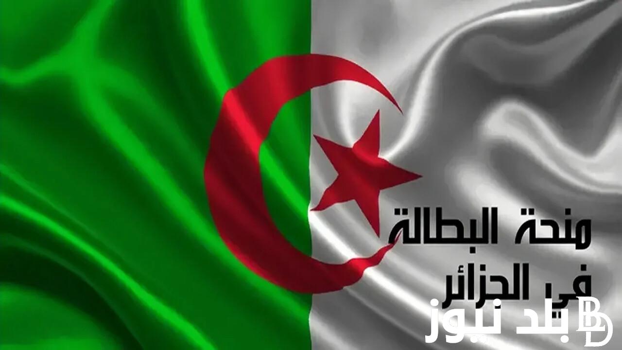 “برابط مباشر” خطوات التسجيل في منحة البطالة 2024 الجزائر وأهم شروط التقديم عبر موقع minha.anem.dz