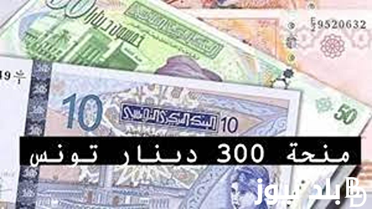 فتح باب التقديم علي منحة 300 دينار تونس عبر الموقع وزارة الشؤون الاجتماعية التونسية
