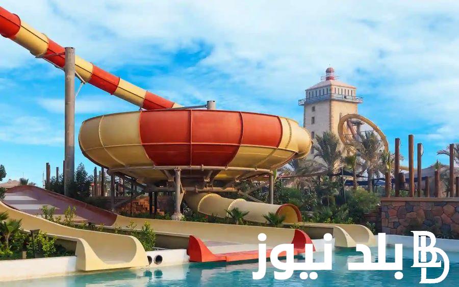 بالتفصيل.. مواعيد حديقة الأمير ماجد مع وجود موسم جدة وطريقة حجز التذاكر