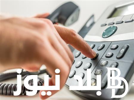 ادفع فاتورتك.. دفع فاتورة التليفون الارضي عبر te.eg إلكترونيـــًا لتجنب فرض غرامات مالية