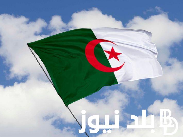 العد التنازلي لاعلان نتائج البكالوريا وخطوات الاستعلام عنها من خلال bem.onec.dz