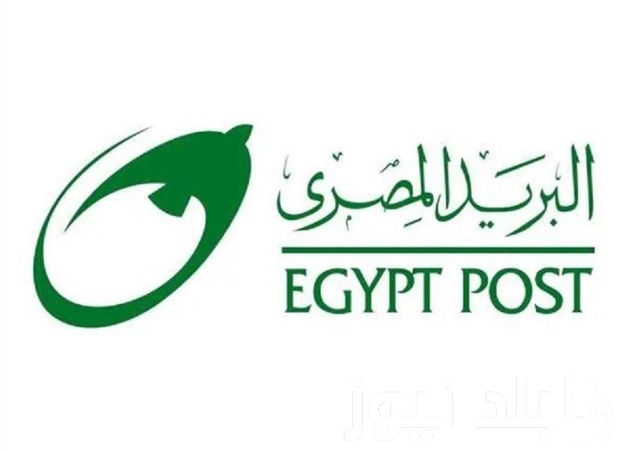 بالرقم االقومي “jobs.caoa.gov.eg” رابط استعلام نتيجة مسابقة البريد المصري 2024 بوابة االوظائف الحكومية واسماء االمقبولين