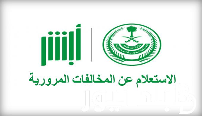 “استعلم عن غرامتك” رابط الاستعلام عن غرامات المرور العامة الرقم الالماني 2024 وكيفية سدادها وقيمة الغرامات