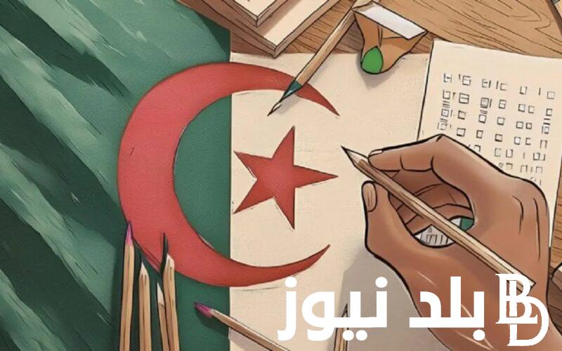 “اعرف نتيجتك الان” كشف نقاط نتائج المراسلة onefd ورابط استخراج نتائج المراسلة 2024