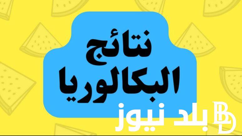 استعلم من هنا.. رابط نتائج البكالوريا سوريا 2024 وخطوات الحصول عليها من خلال موقع وزارة التربية والتعليم السورية