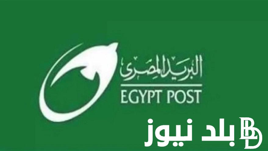 اأسماء المقبولين “jobs.caoa.gov.eg” رابط نتيجة مسابقة البريد المصري 2024 بالرقم القومي عبر بوابة الوظائف الحكومية