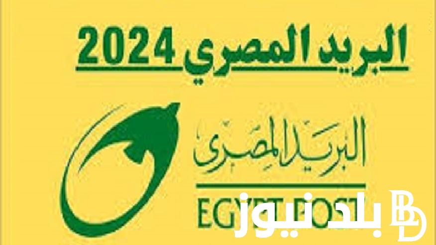 ااستعلم بالرقم القومي “jobs.caoa.gov.eg” .. رابط نتيجة مسابقة البريد المصري 2024 من بوابة الوظائف الحكومية