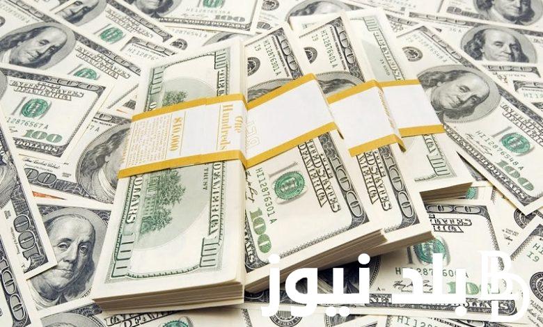 “الاخضر علي كام” سعر الدولار اليوم مقابل الجنيه المصري في السوق السوداء والبنوك المصرية