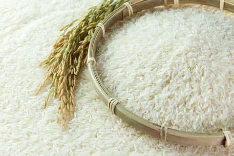 “الطن بكام؟.. سعر طن الارز الشعير اليوم الجمعة 26 يوليو 2024 في المنافذ التجارية والمحلات للمستهلكين والتجار