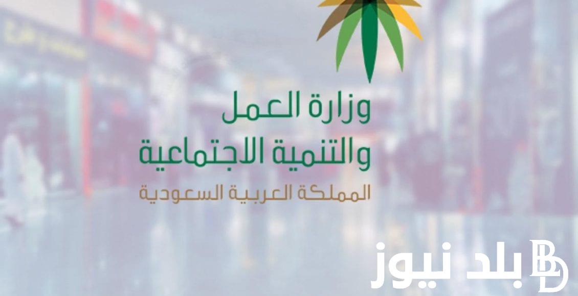 اعرف متى ينزل الضمان الاجتماعي المطور تويتر أغسطس 1446.. وزارة العمل والتنمية البشرية السعودية تُوضح