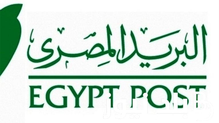 هنااا المركزي للتنظيم والإدارة “jobs.caoa.gov” . طريقة الاستعلام عن نتيجة مسابقة البريد المصري 2024 بالرقم القومي بوابة الوظائف الحكومية