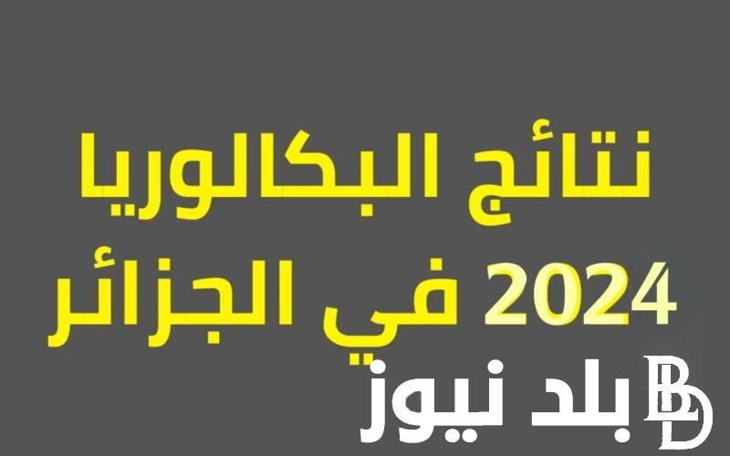 إليكم موقع نتائج البكالوريا 2024 الجزائر.. وما هى خطوات الإستعلام عنها