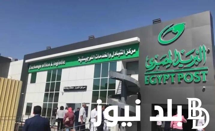 هناا الجهاز المركزي .. لينك نتيجة مسابقة البريد المصري 2024 خطوات “jobs.caoa.gov.eg” بوابة الوظائف الحكوميية