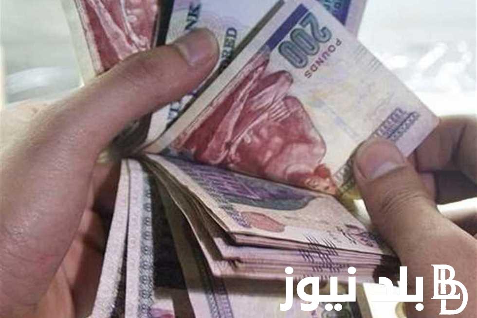 وزارة التضامن توضح.. موعد صرف المعاشات شهر اغسطس وطريقة الاستعلام مع الزيادة الجديدة الاخيره