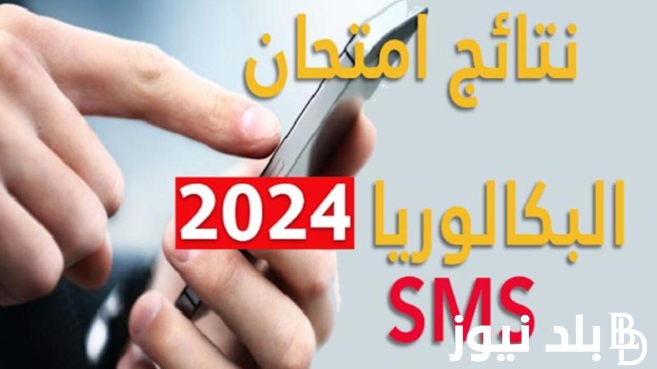 الاستعلام من هنا.. نتائج البكالوريا لبنان 2024 وخطوات استخراج نتائج البكالوريا عبر موقع وزارة التربية والتعليم بلبنان
