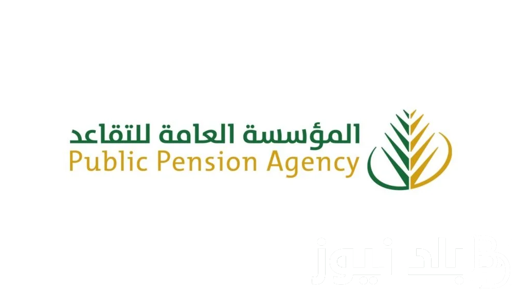 المالية تُحدد: موعد نزول الرواتب للمتقاعدين 2024 في كافة محافظات العراق وخطوات الاستعلام عن قيمة الراتب mof.gov.iq