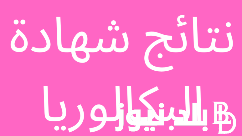 شووف نتيجتك.. نسبة النجاح في البكالوريا 2024 حسب الولايات عبر موقع الديوان الوطني bem.onec.dz