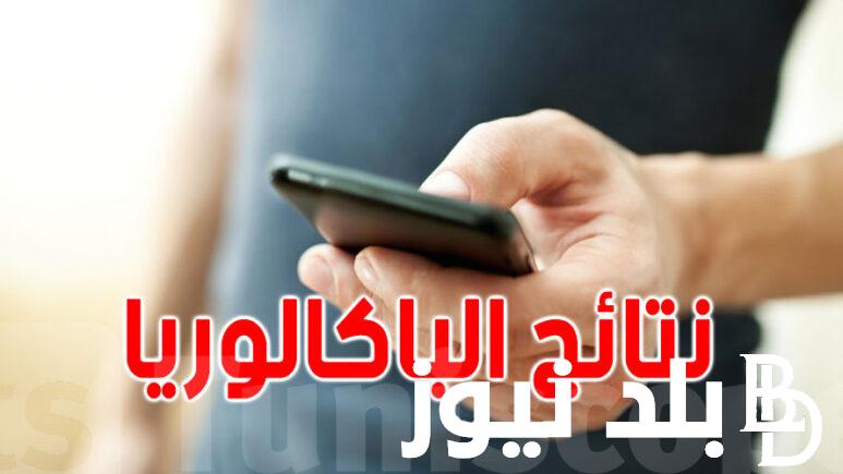 “رابط شغال” اعلان نتائج بكالوريا 2024 عبر رمز استجابة سريع مخصص للطلبة الناجحين