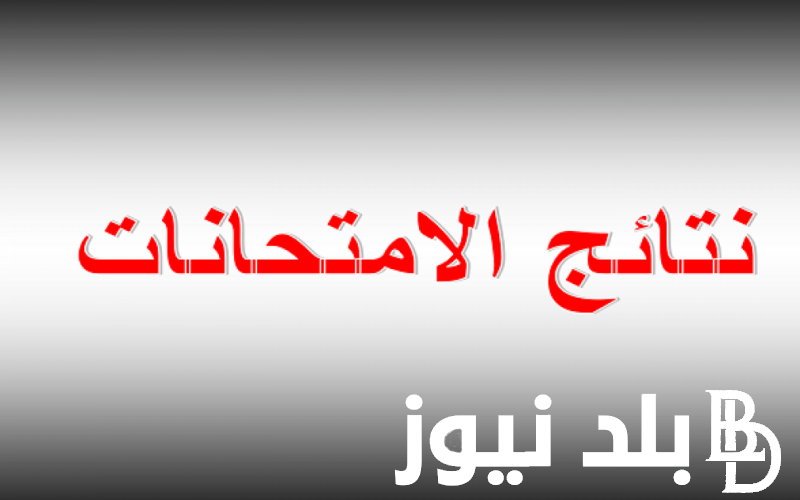 عاجل.. ظهور نتائج الامتحانات الرسمية في لبنان 2024 وخطوات الاستعلام عنها عبر الموقع الرسمي لوزارة التربية والتعليم العالي