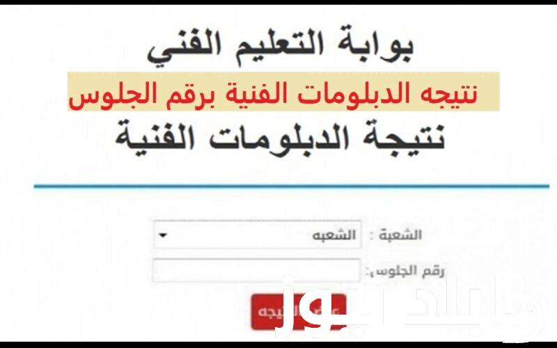 استعلم الان.. نتيجة الدبلومات الفنيه 2024 وخطوات الحصول على النتيجة عبر موقع بوابة التعليم والتعليم الفني